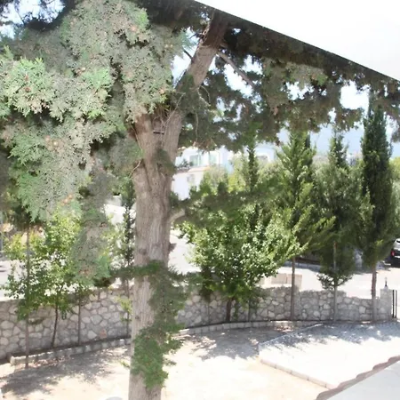 Tranquillity - In Beautiful Bellapais *